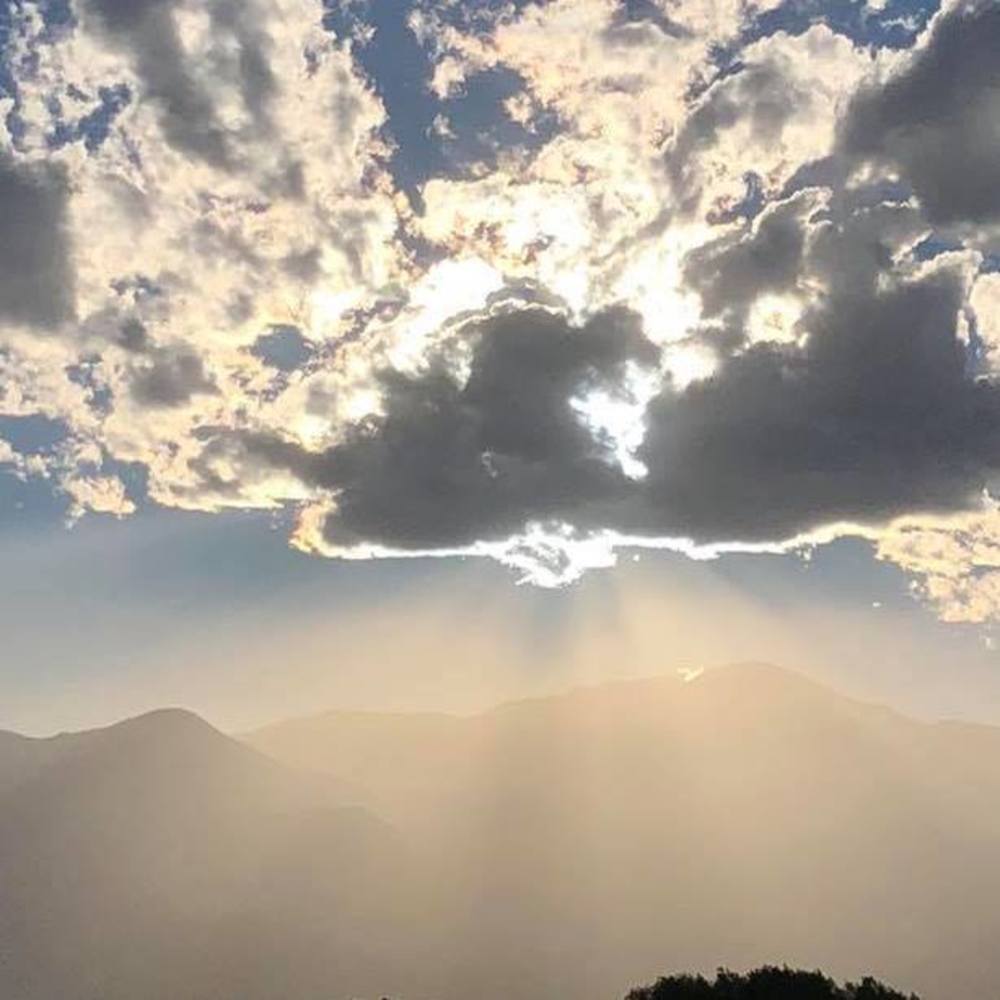 Meet your Posher, Susie